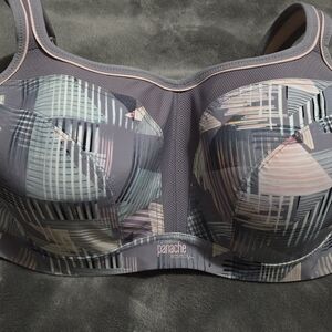 Panache Multicolor Sports Bra